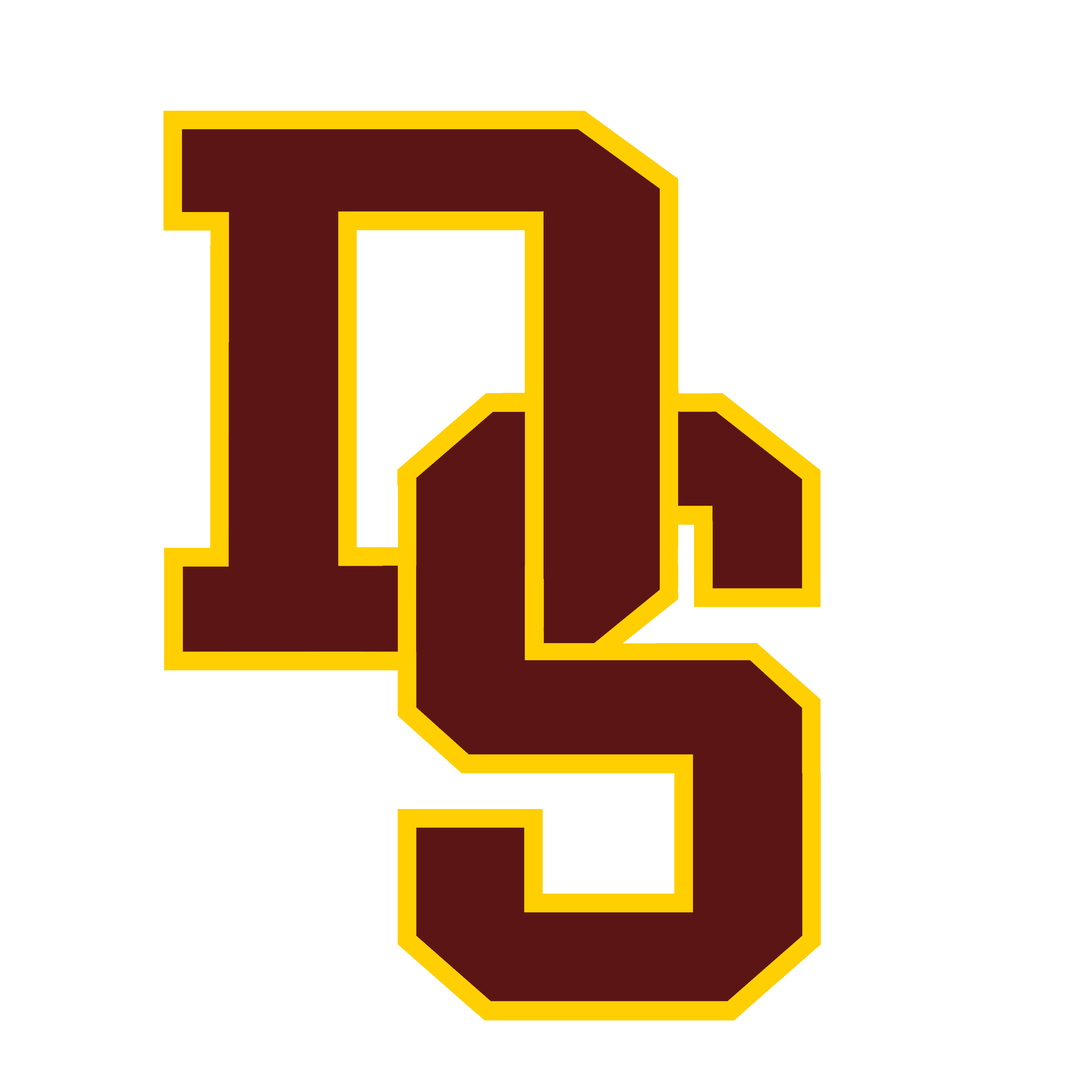 Dripping Springs ISD logo